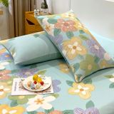  Cotton ORGANIC - KO CHĂN COK16 