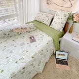  Cotton MỊN - BASIC CMB09 