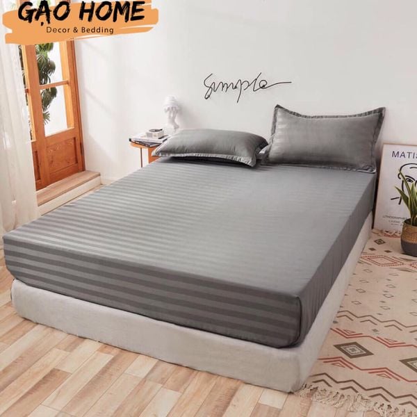  Cotton Kẻ 3F KO CHĂN - F01 