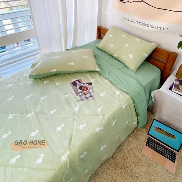  Cotton MỊN - BASIC CMB09 