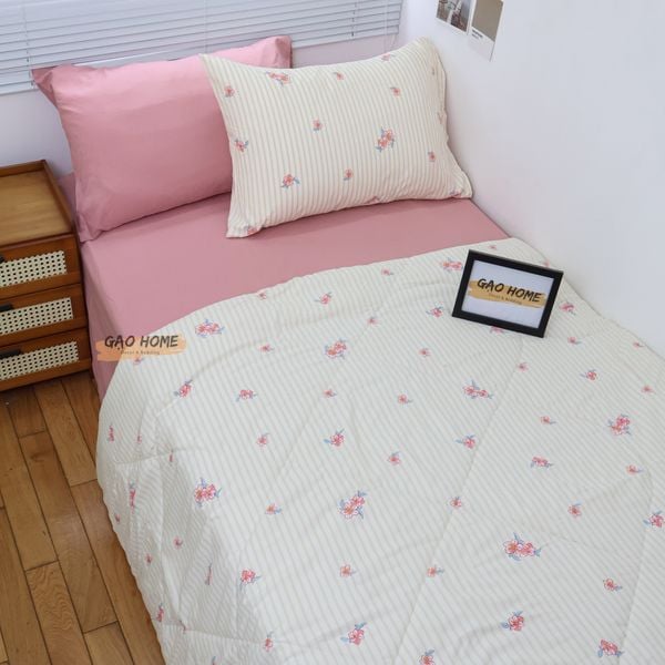  Cotton MỊN - BASIC CMB10 