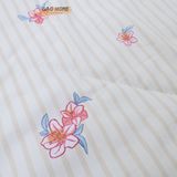  Cotton MỊN - BASIC CMB10 