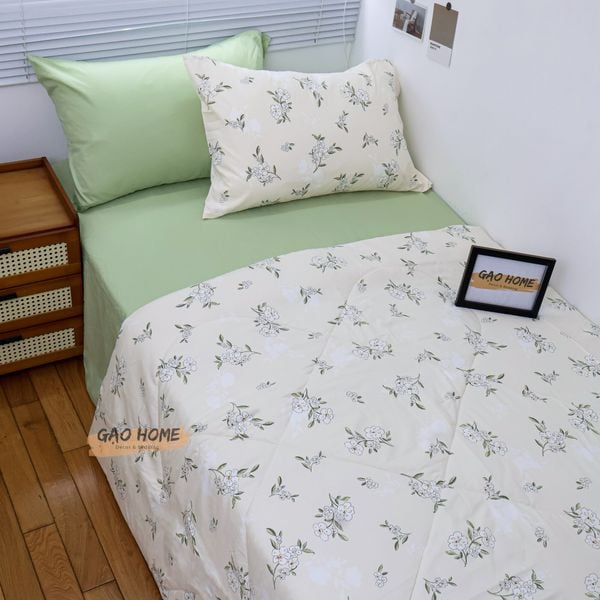  Cotton MỊN - BASIC CMB08 