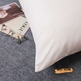  RUỘT GỐI NẰM LÔNG VŨ MICROFIBER Cao Cấp Nặng 1,5kg Chuẩn Hàng Loại 1 
