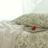  Cotton ORGANIC CO12 