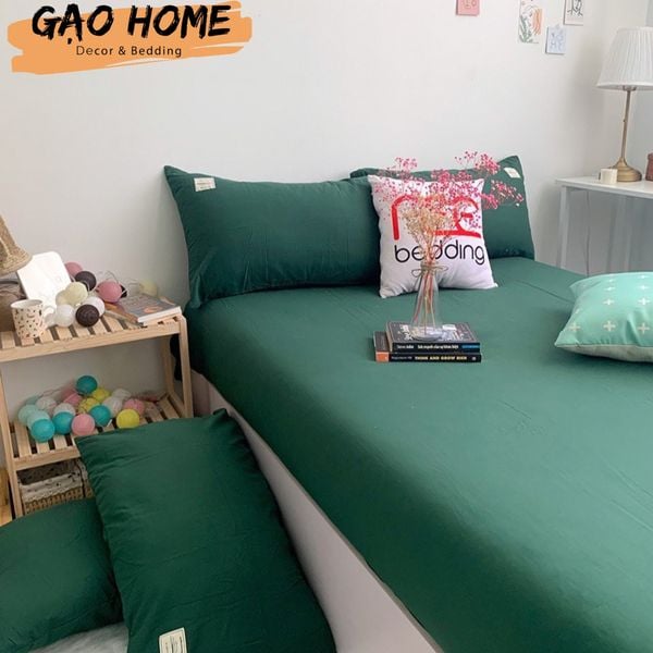  COTTON BASIC KO CHĂN - TCKC09 