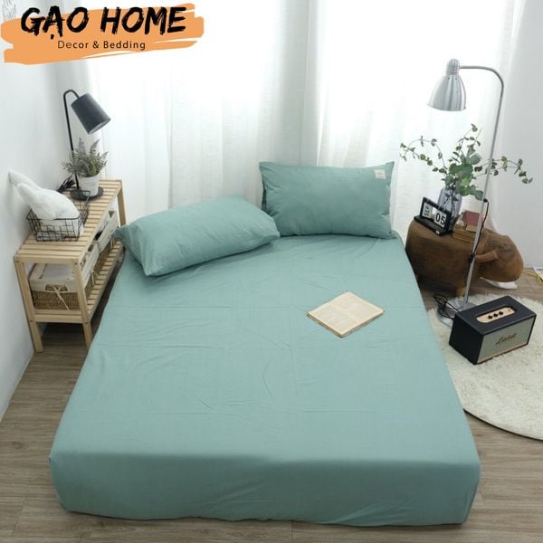  COTTON BASIC KO CHĂN - TCKC02 