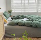  Cotton Basic - CTB02 
