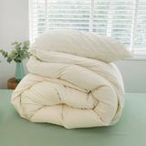  Cotton Basic - CTB02 