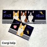  . Set 2 thảm bếp 