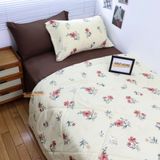  Cotton MỊN - BASIC CMB08 