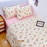  Cotton MỊN - BASIC CMB10 