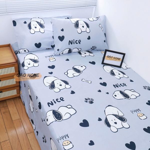  Cotton Korea KHÔNG CHĂN - CPKC242 