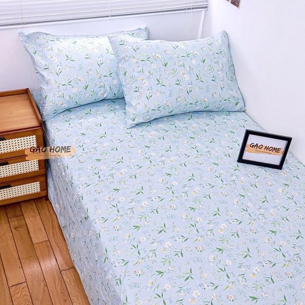  Cotton ORGANIC - KO CHĂN COK35 