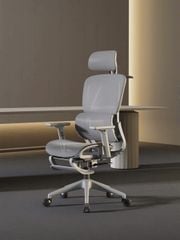 Ghế Công Thái Học CTH919 Ergonomic XÁM