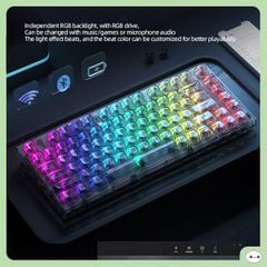 BÀN PHÍM CƠ XINMENG X75 CLEAR BLACK WHITE JADE SWITCH