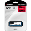 SSD Kingston NV2 M.2 2280 NVMe 250GB Chính Hãng