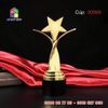 Cúp Vinh Danh Ngôi Sao - 00568