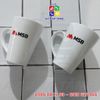 Cốc Sứ Trắng Vát Cao MSB