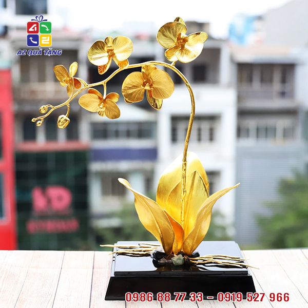 Hoa Phong Lan Vàng