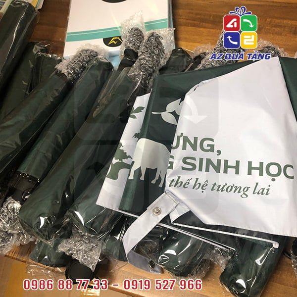 Dù Gấp 3 TĐ 1 Chiều - GIZ