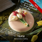 Tulipse