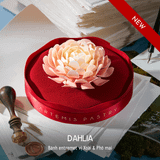 Dahlia