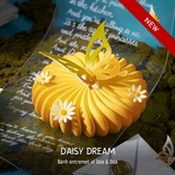 Daisy Dream