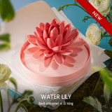Water Lily