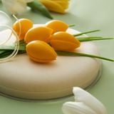 Tiramisu De Caramel ( Nhận đơn từ 20/2 và trả đơn từ 1/3 - 8/3 )