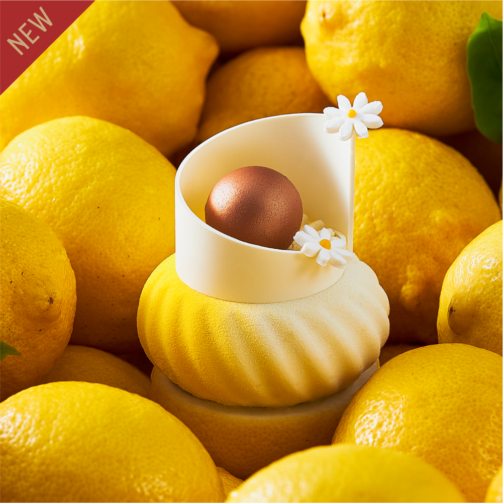 Yuzu Orange Lemon