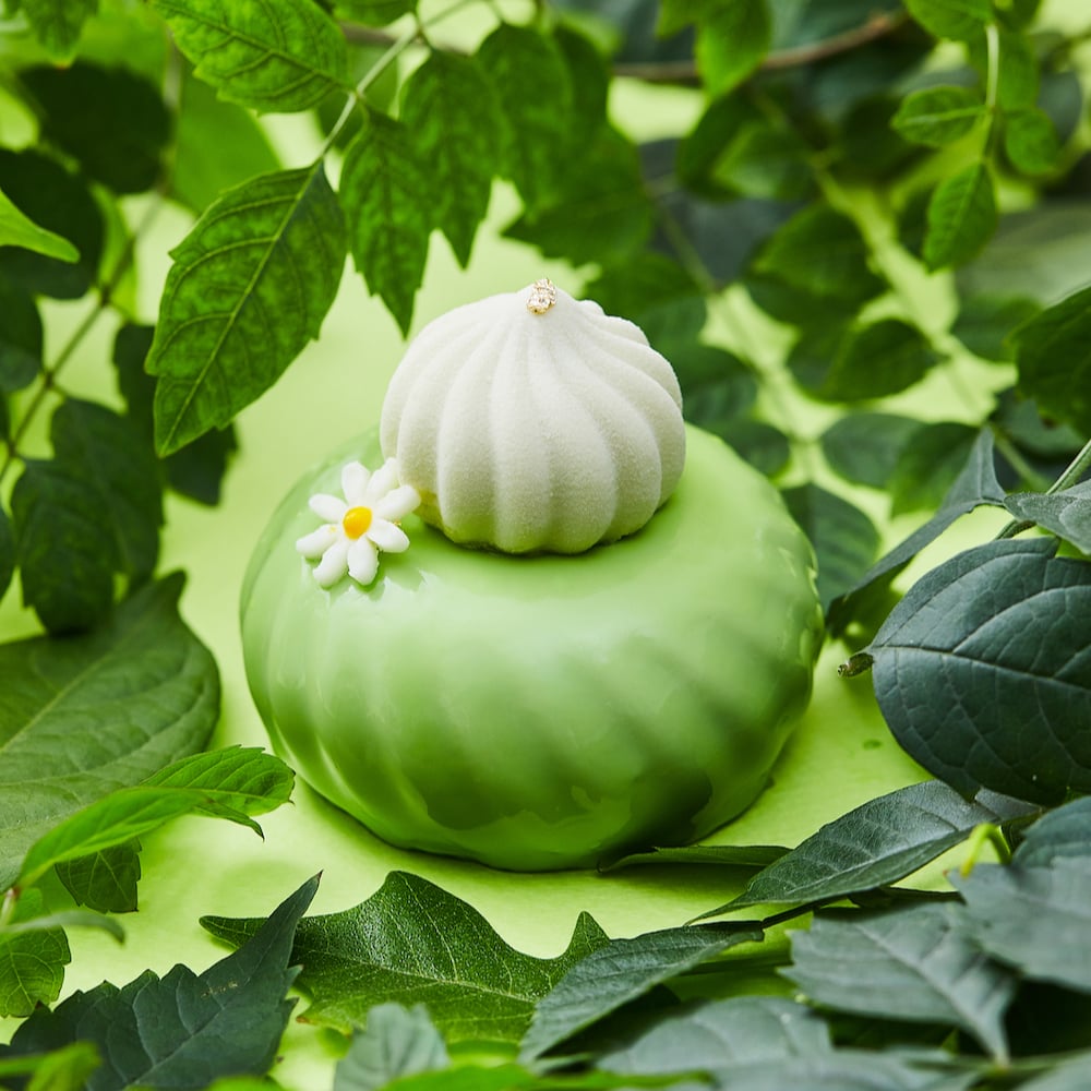 Soursop Avocado