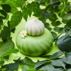 Soursop Avocado
