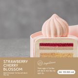 Strawberry Cherry Blossom