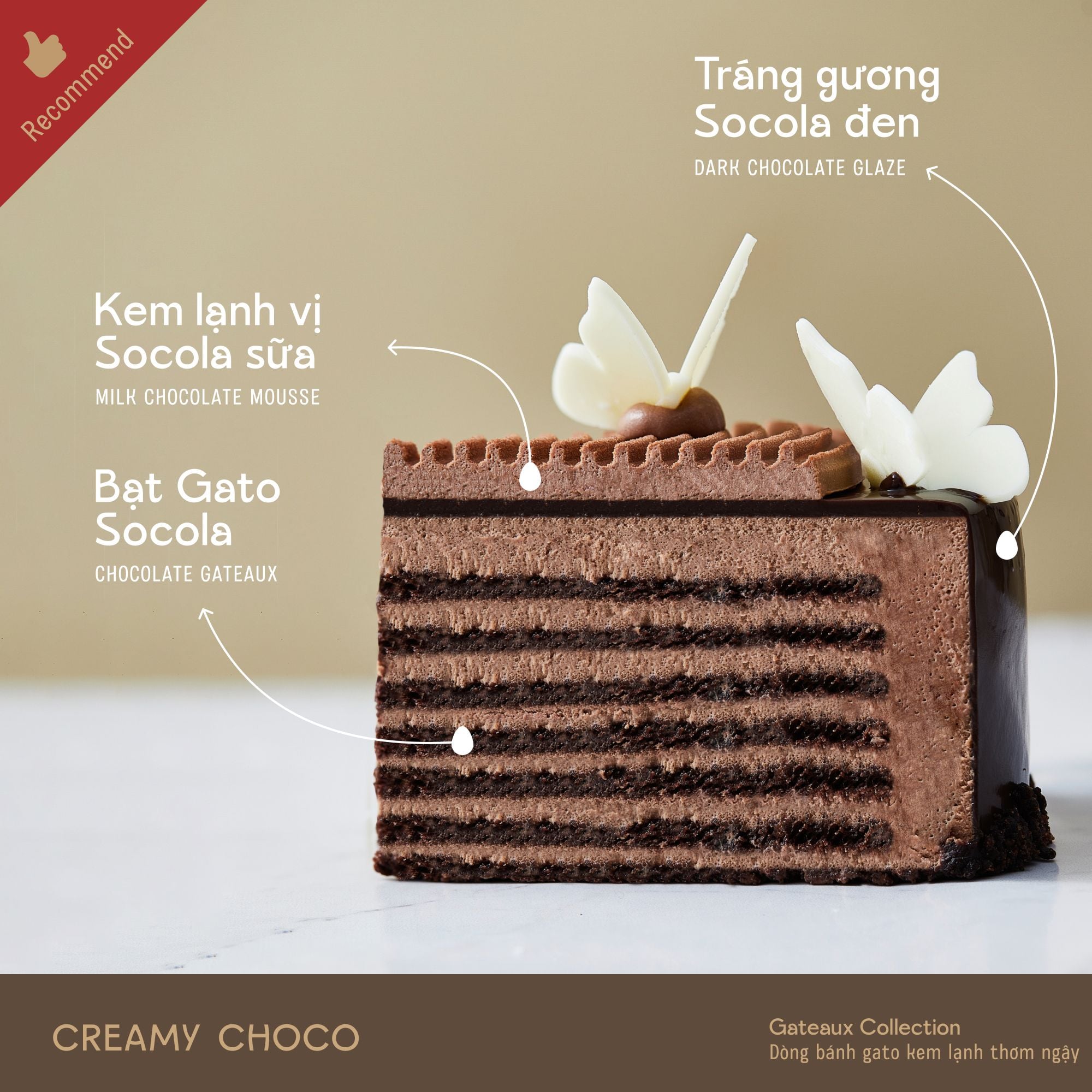 Mercy Choco Creamy Choco – Artemis Pastry
