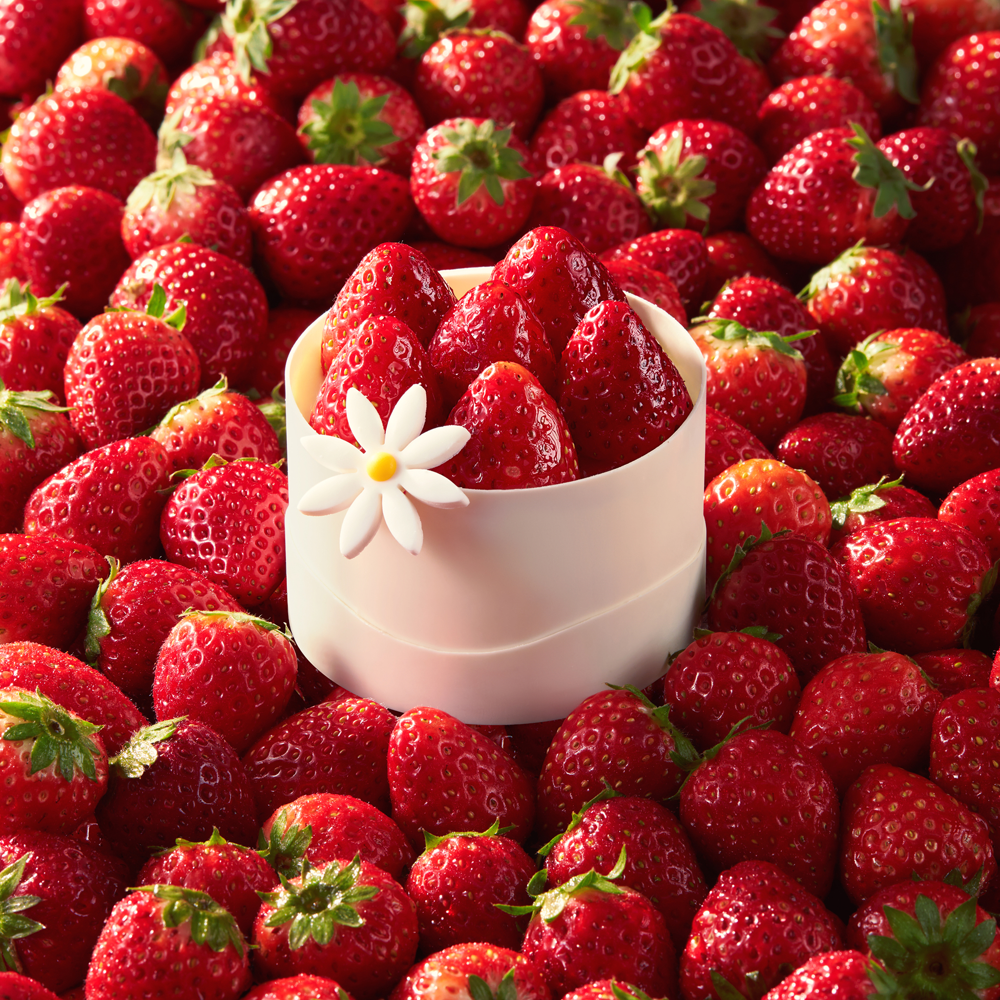 CHEESE STRAWBERRY ROLL GATEAUX