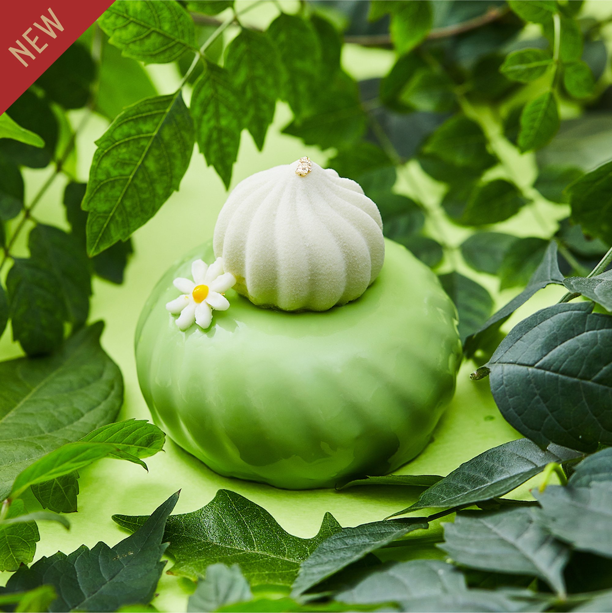 Soursop Avocado