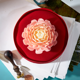 Dahlia