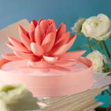 Water Lily