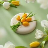 Tiramisu De Caramel ( Nhận đơn từ 20/2 và trả đơn từ 1/3 - 8/3 )