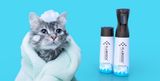  FLAIROSOL - BÌNH XỊT 
