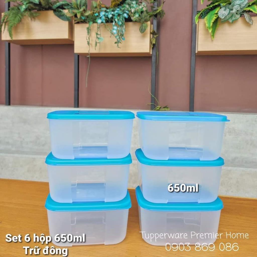  Bộ Hộp Trữ Đông Tupperware Basic Set 650ml (6 Hộp) 