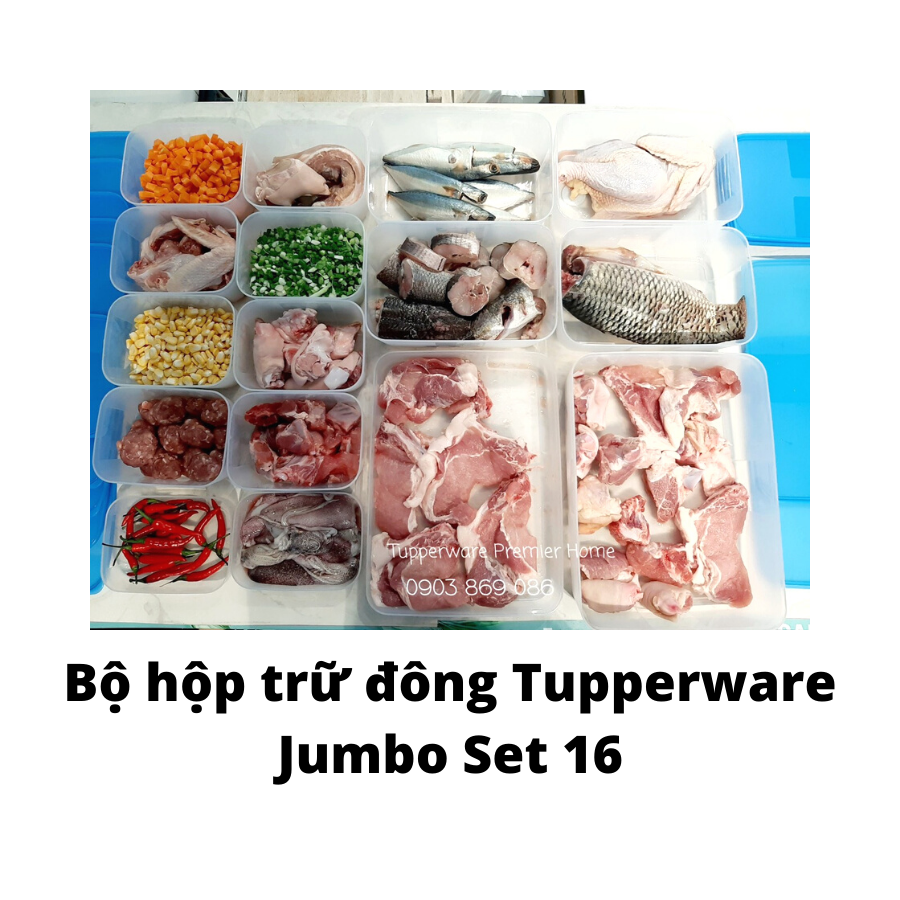  Bộ hộp trữ đông Tupperware Freezermate Jumbo Set 16 giảm giá tháng 10/2021 