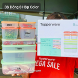  Bộ Trữ Đông Tupperware Freezermate Colorful Set 8 