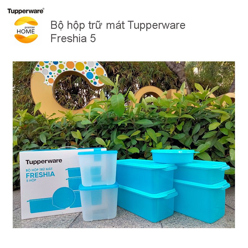  Bộ hộp trữ mát Tupperware Freshia 5 phù hợp với gia đình nhỏ 