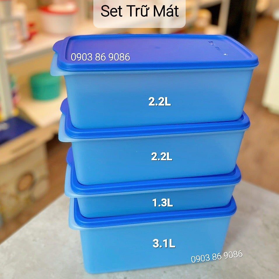  Set 4 hộp trữ mát dài Tupperware trong Modern set 