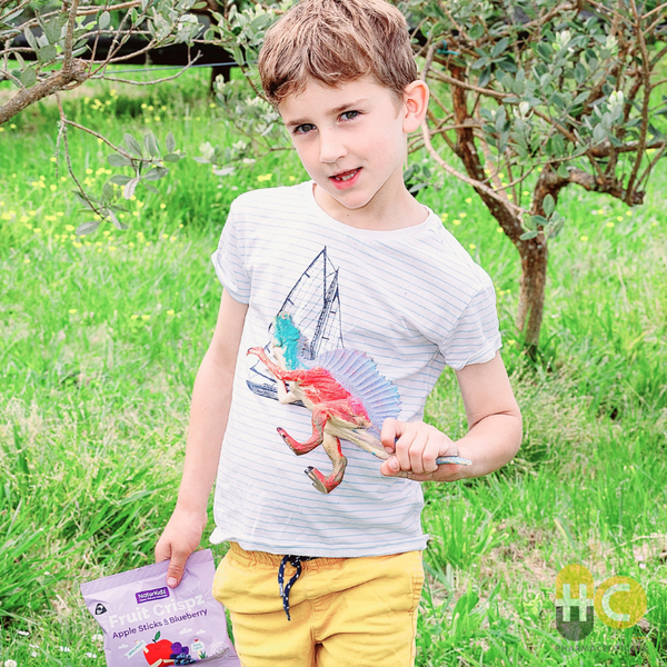  Táo và Việt Quất sấy lạnh NaturKidz 10g Nhập khẩu chính hãng New Zealand 