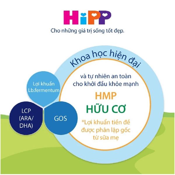 Sữa HiPP Organic số 2 800g – Dinh Dưỡng Hữu Cơ Chuẩn Châu Âu Cho Bé 6–12 Tháng Tuổi