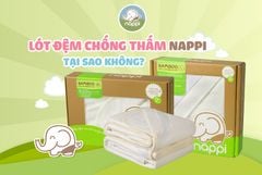 Lót chống thấm Nappi cao cấp