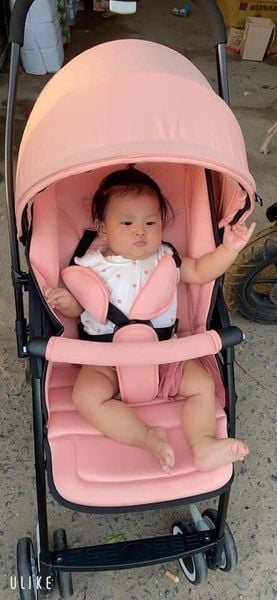 Xe đẩy Vovo 2 chiều